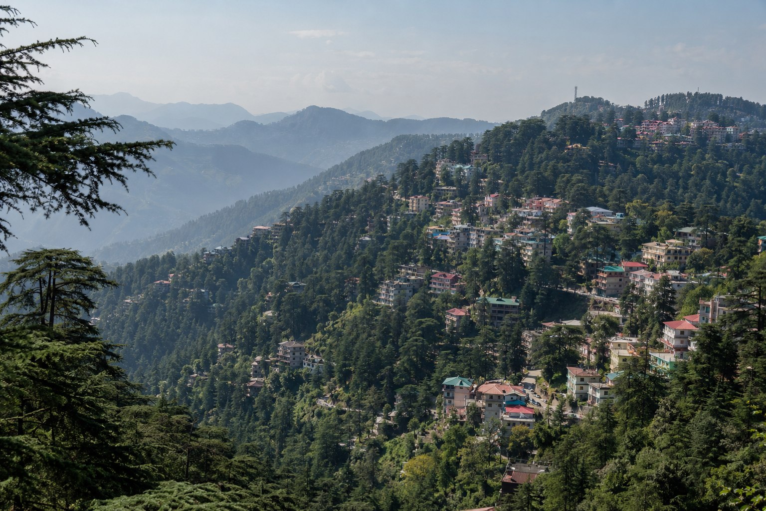 Forested slopes and hillside homes around Shimla