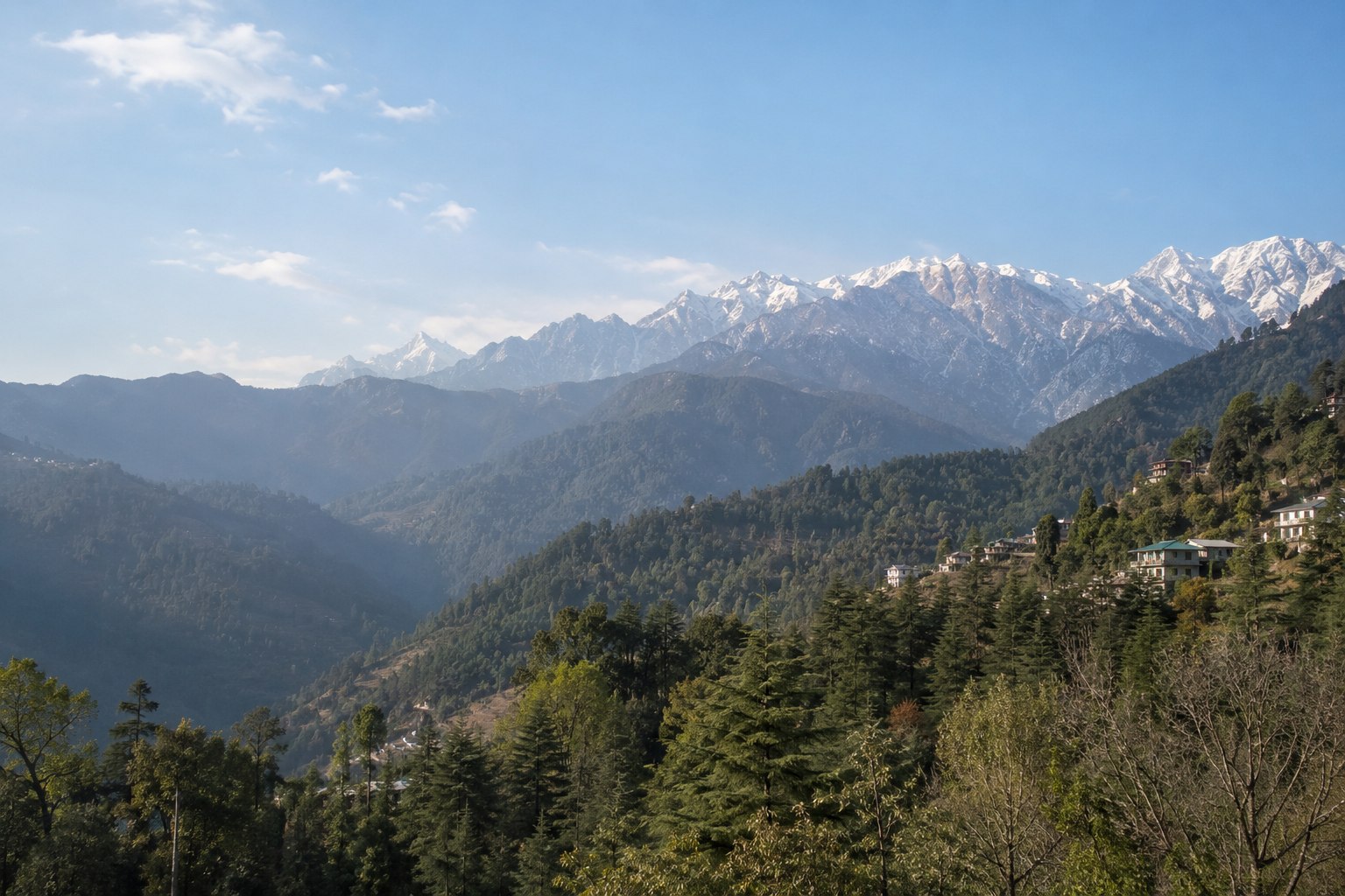 Layered green foothills beneath the Dhauladhar mountains