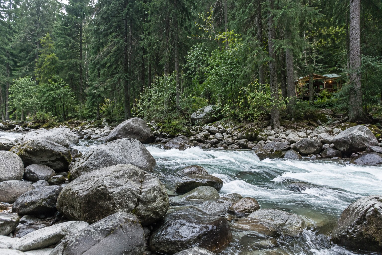Forest and riverbank boulders in the Parvati Valley