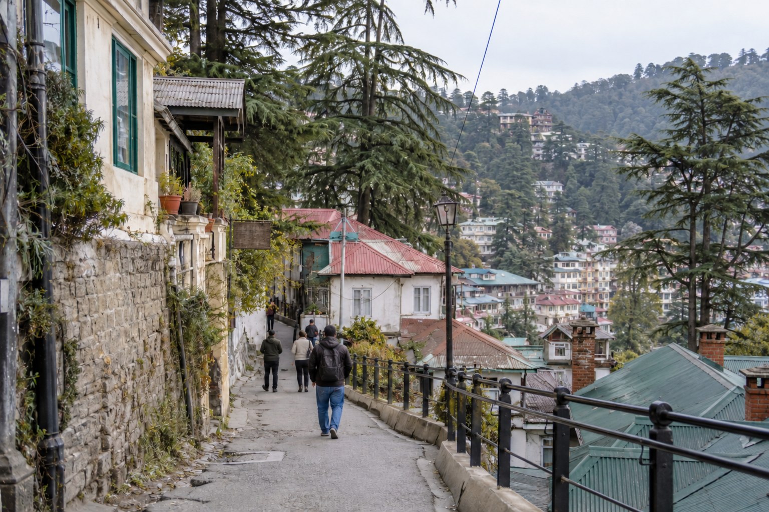 Shimla hillside streets surrounded by trees