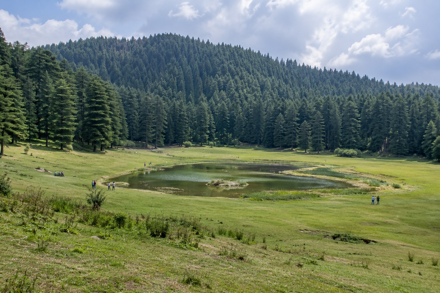 Khajjiar meadow bordered by deodar forest