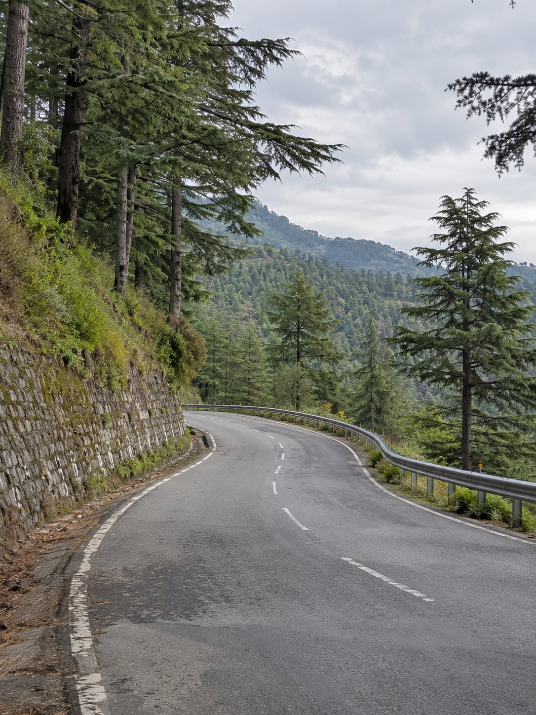 A paved road curves through a wooded Himachal hillside.