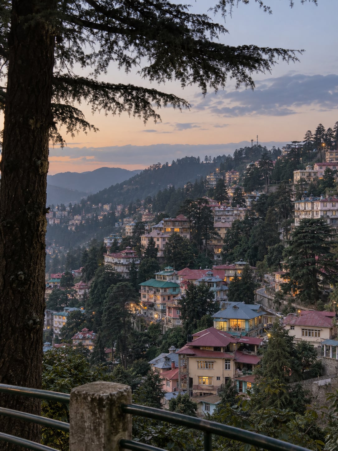 Illustration of Shimla's lived-in hillside buildings among deodar trees at early evening.